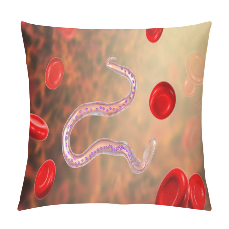 Personality  Wuchereria Bancrofti, A Roundworm Nematode, One Of The Causative Agents Of Lymphatic Filariasis, 3D Illustration Showing Presence Of Sheath Around The Worm And Tail Nuclei Non-extending To Tip Pillow Covers