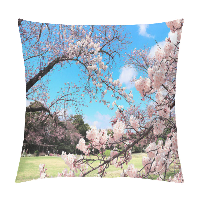 Personality  Sakura in Koishikawa Korakuen garden, Okayama, Japan pillow covers