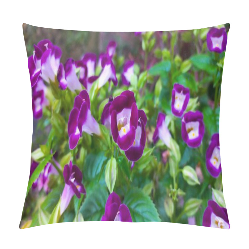 Personality  Flowers With Vibrant Purple Petals And White Centers, Amidst Light And Dark Green Foliage. Natural Lighting And Slightly Blurred Background. Pillow Covers