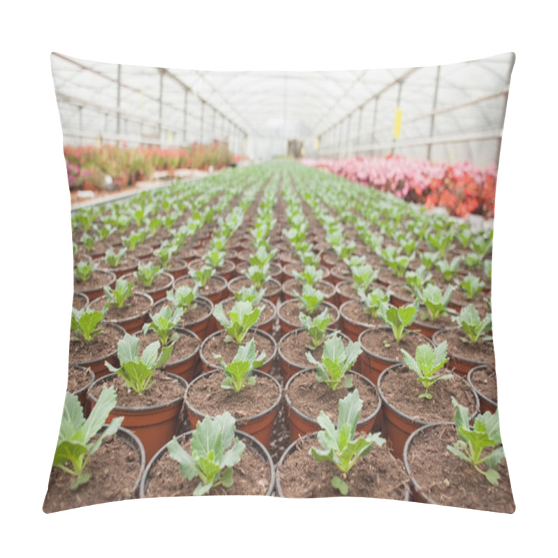 Personality  Plants In Horticulture Pillow Covers