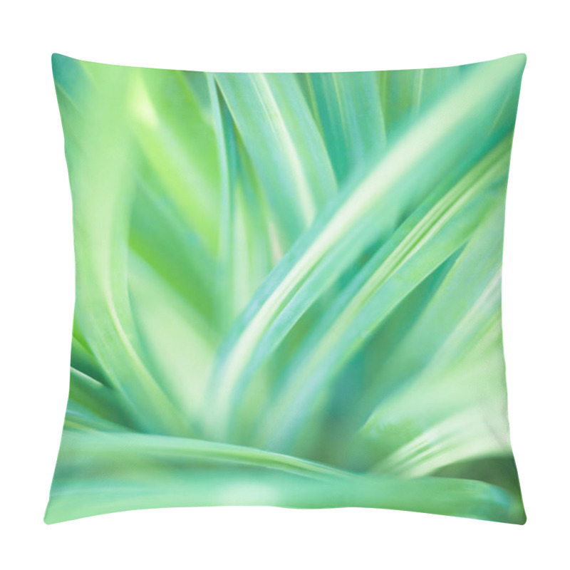 Personality  Closeup Of Green Leaf In Garden. Pillow Covers