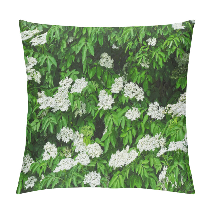 Personality  White Elderberry Blossom Pillow Covers