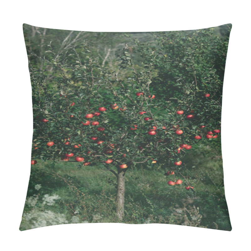 Personality  Apple Tree With Organic Red Apples On Branches In Orchard Pillow Covers