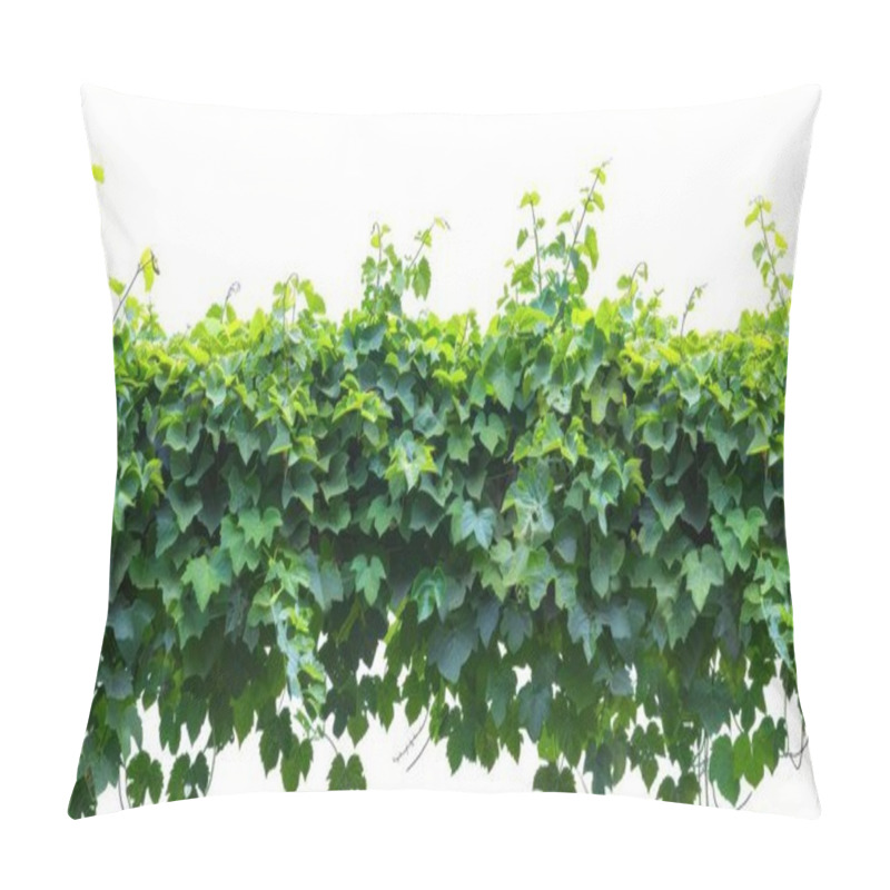 Personality  Vibrant Green Ivy Leaves Against A Bright Backdrop, Showcasing Nature's Beauty And Resilience. Pillow Covers