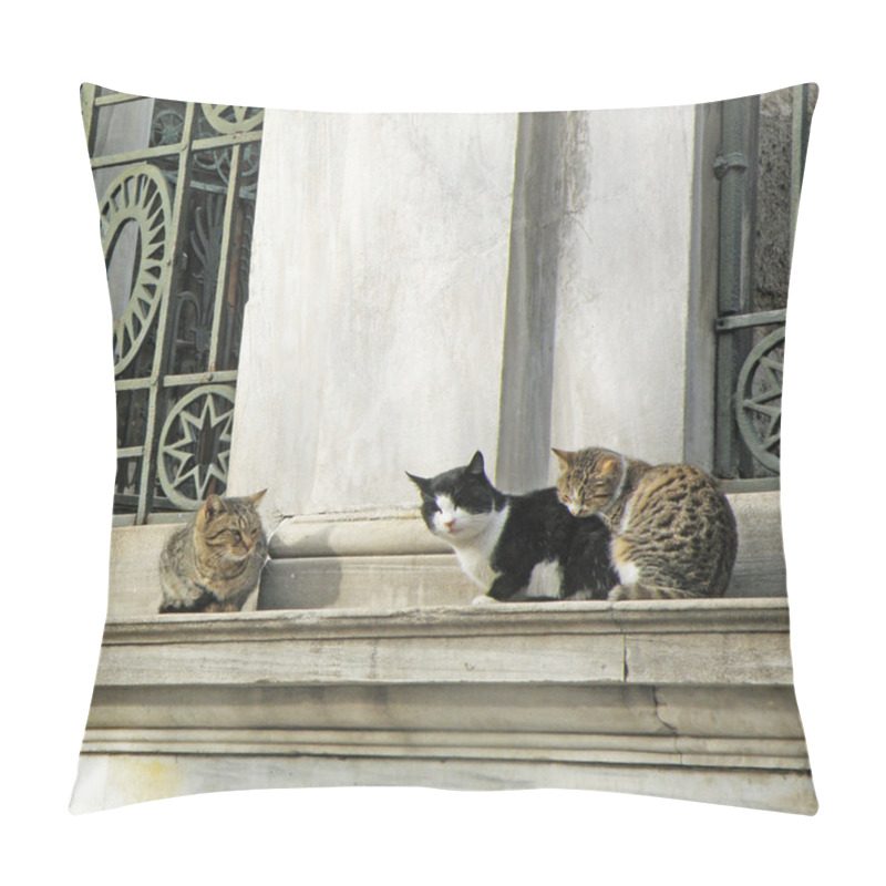 Personality  Three Cats Sitting On The Wall Of An Islamic Cemetery Pillow Covers