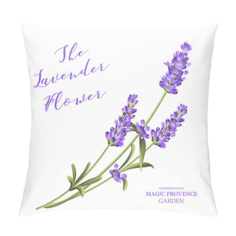 Personality  Bunch Of Lavender Flowers On A White Background. Vector Illustration. Pillow Covers