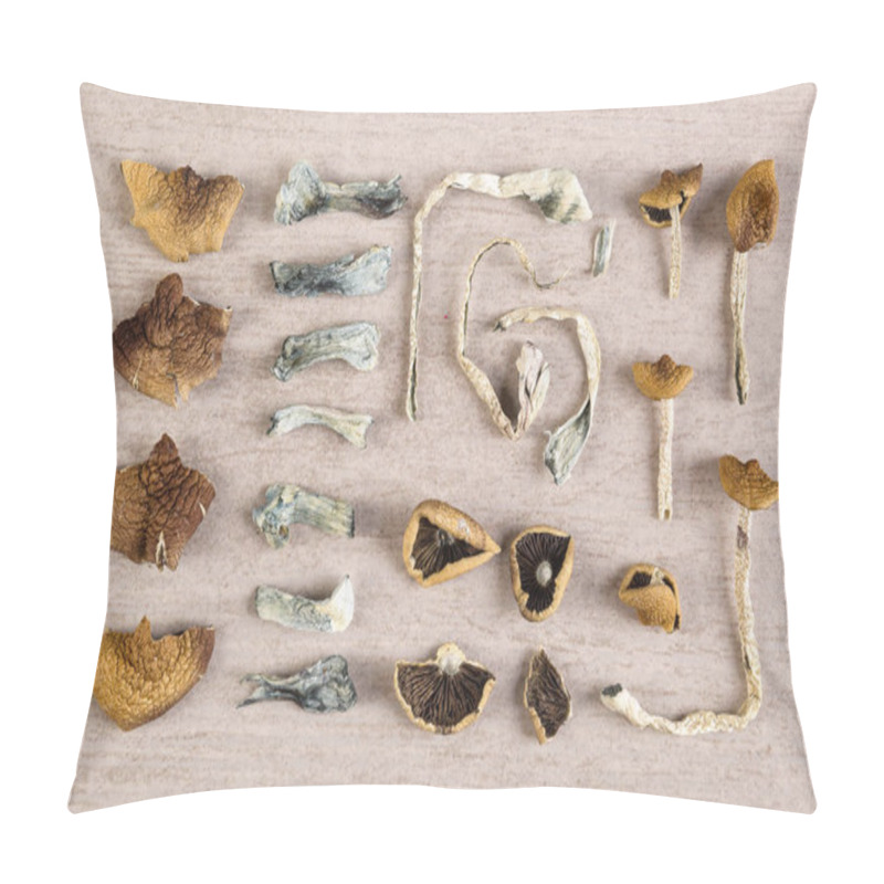 Personality  Dried Magic Mushrooms From Above. Knolling Flat Lay Background. Entheogen, Alternative Medicine. Pillow Covers