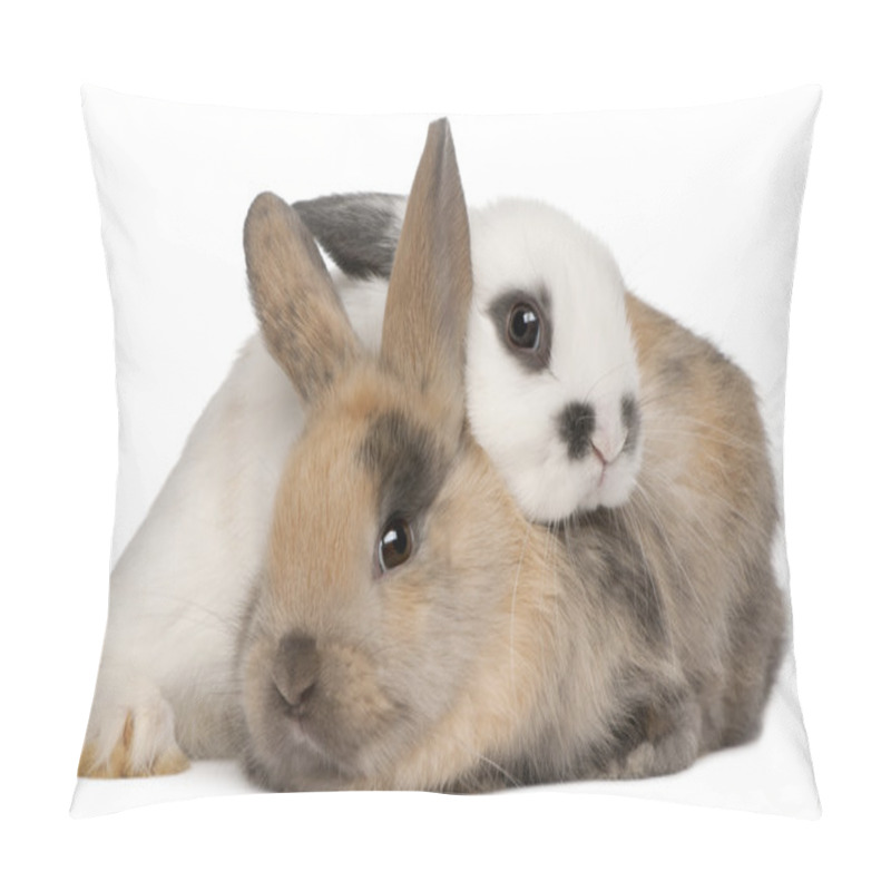 Personality  Two Rabbits In Front Of White Background Pillow Covers