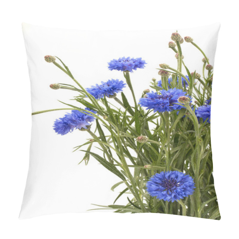 Personality  Blue Cornflowers Herb Pillow Covers