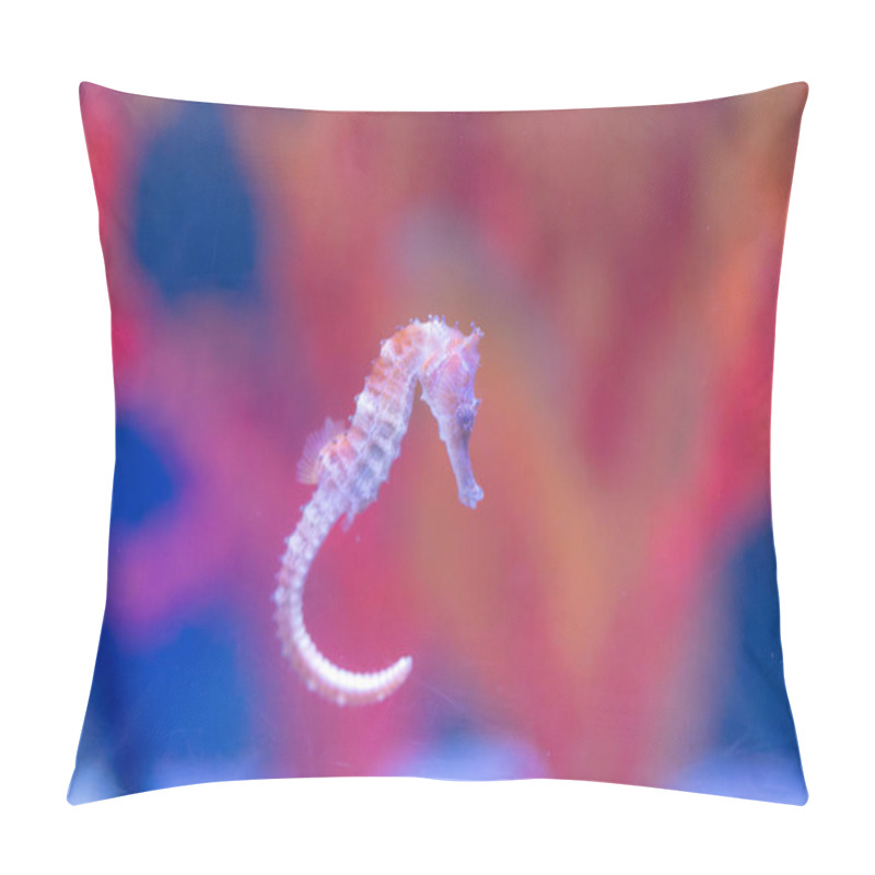 Personality  Delicate Seahorse Gracefully Glides Through The Water, Its Intricate Body And Long Snout Creating A Mesmerizing Sight. The Soft, Golden Hues Of The Seahorse Contrast Beautifully Against The Deep Blue Background, Making It A Captivating Subject. This  Pillow Covers