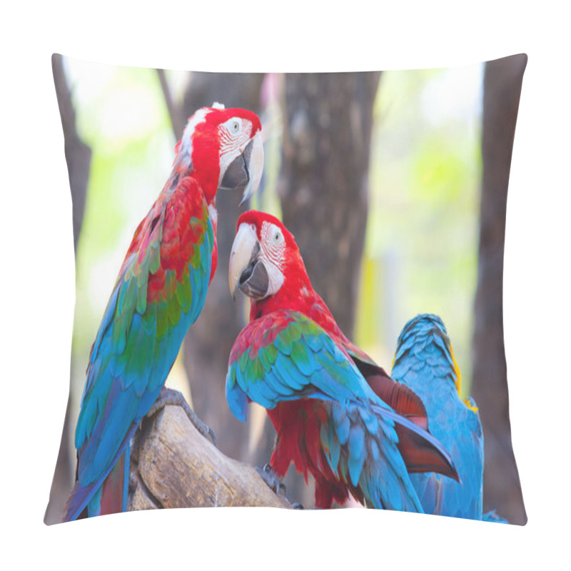 Personality  Scarlet Macaw Pillow Covers