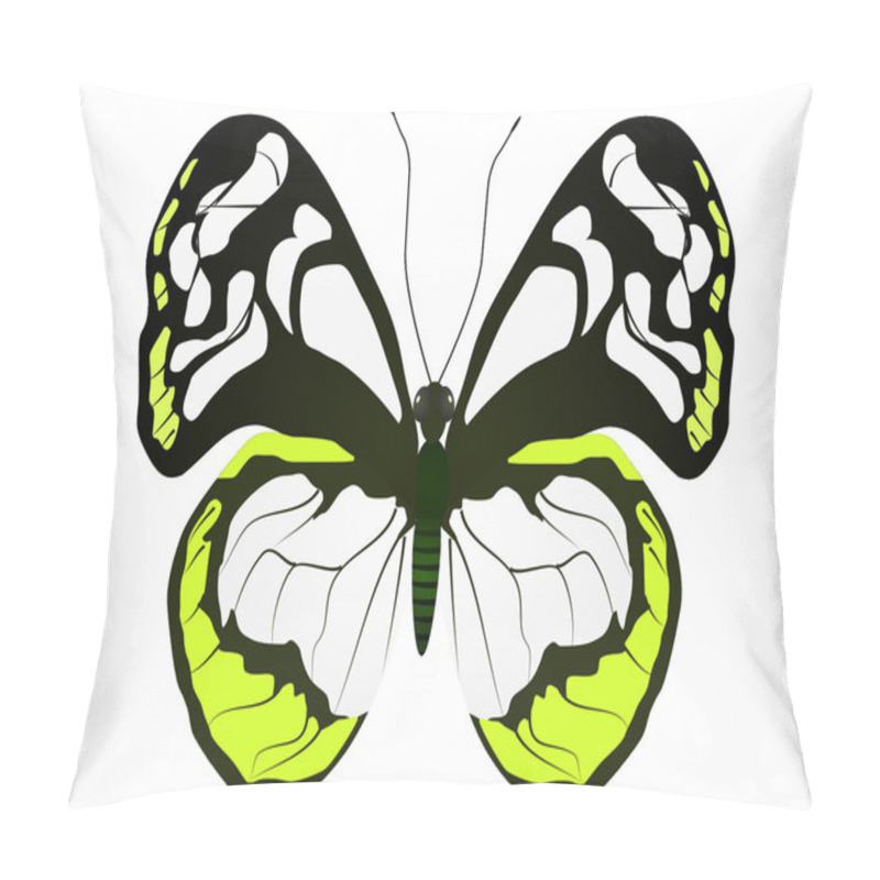 Personality  Large White Butterfly Pillow Covers