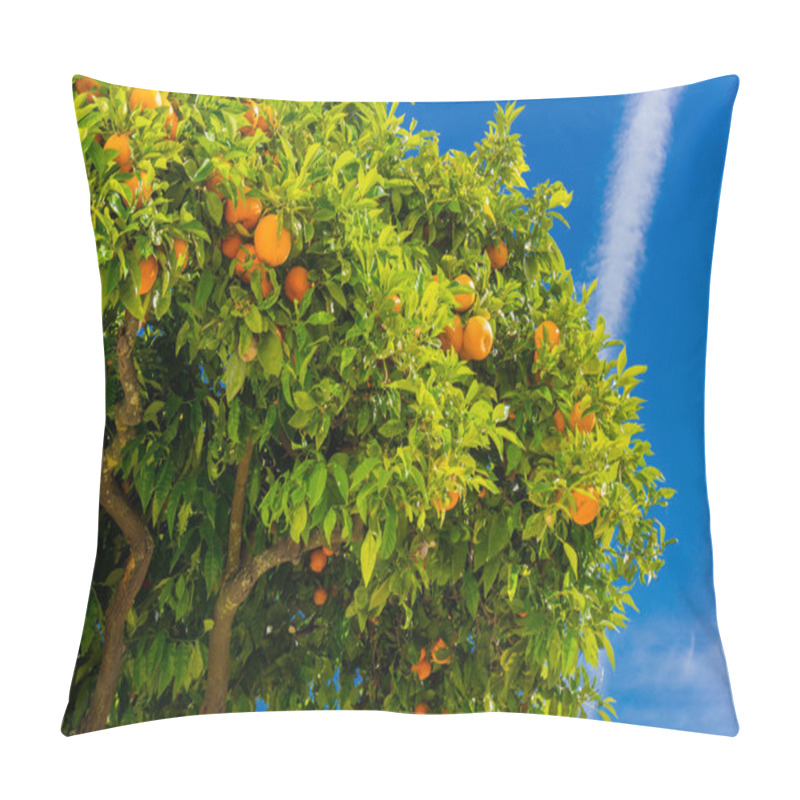 Personality  Orange Tree. Oranges Hanging Tree. Ripe Tangerines On A Tree Bra Pillow Covers