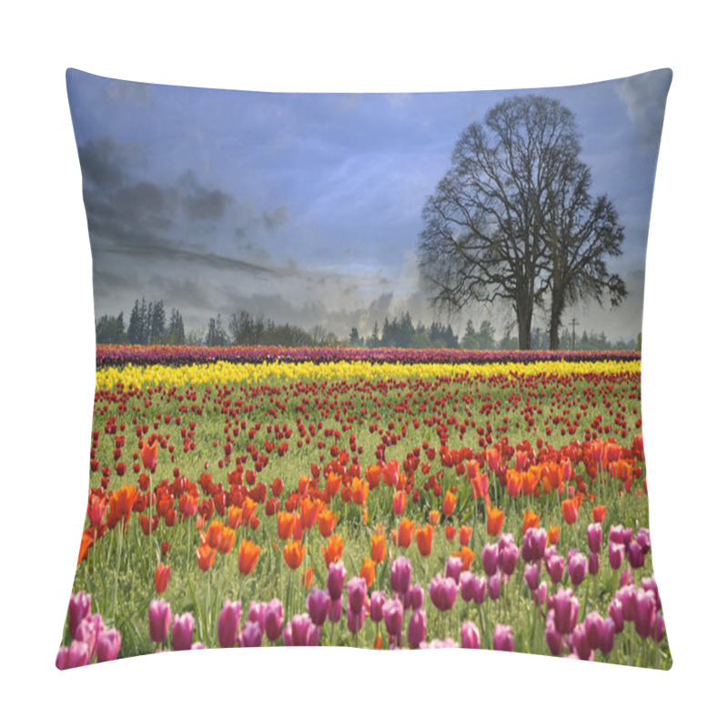 Personality  Tulips Blooming In Spring Season Pillow Covers