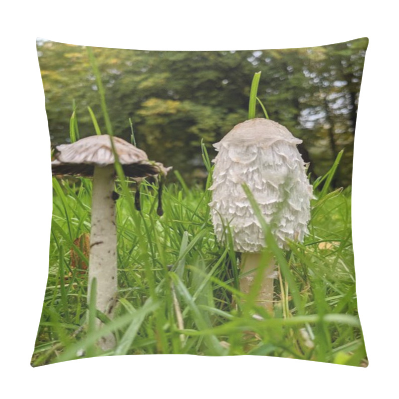 Personality  A Vertical Shot Of A Coprinus Comatus Growing In A Forest Pillow Covers