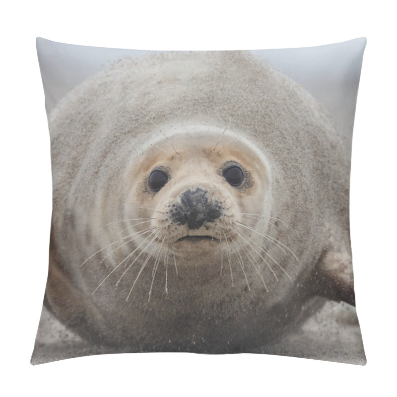 Personality  Grey Seal On A Beach, During Wintertime Pillow Covers