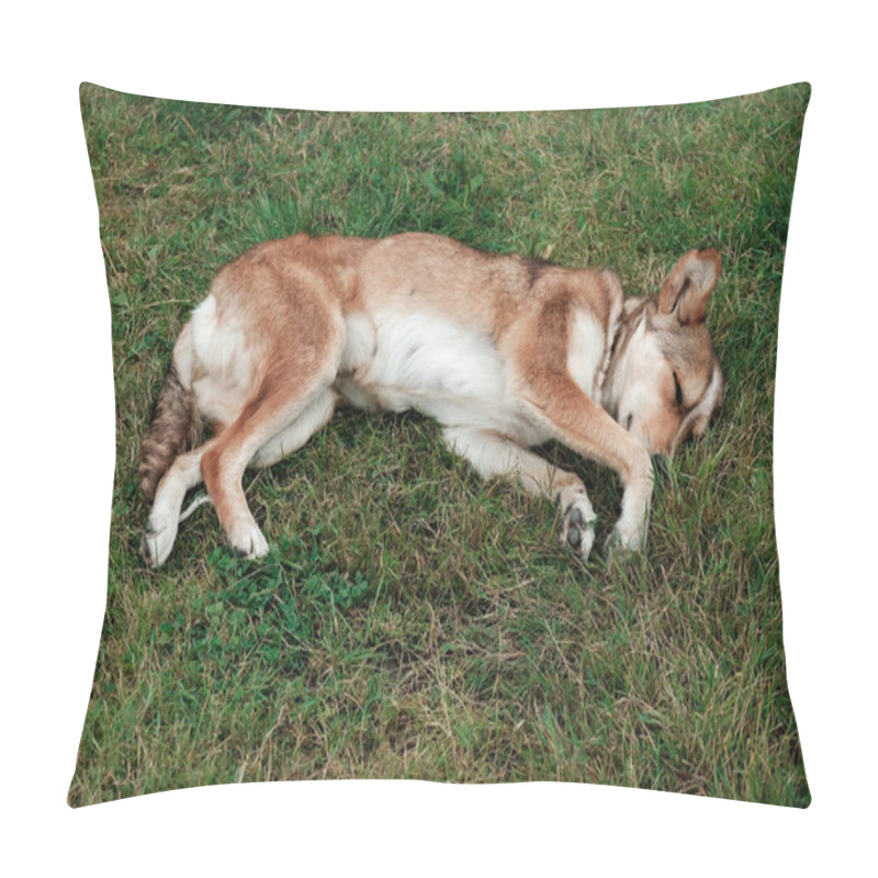 Personality  Cute And Peaceful Dog Sleeping In The Green Grass On A Meadow. Adorable Tired Animal Resting Outside During Summer Day. Pet Adoption Concept. Take Young Puppy Home, Love And Care About New Friend. Pillow Covers