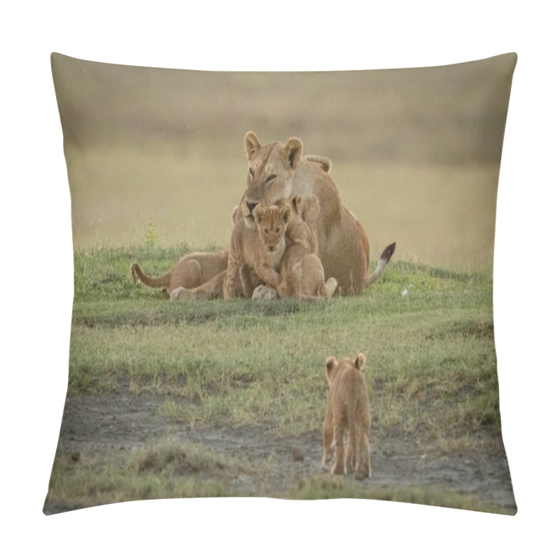 Personality  Lion Cub Approaches Siblings Climbing On Mother Pillow Covers