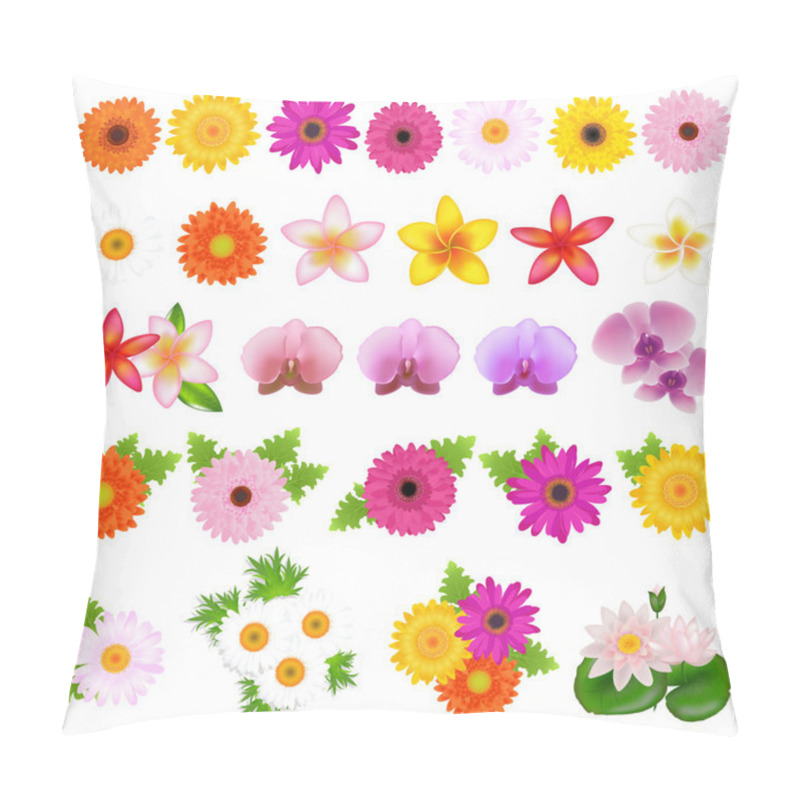 Personality  Collection Beautiful Flowers, Isolated On White Background, Vector Illustration Pillow Covers