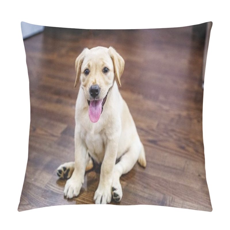 Personality  Little Puppy Labrador. Home. The Concept Of Pets. Pillow Covers