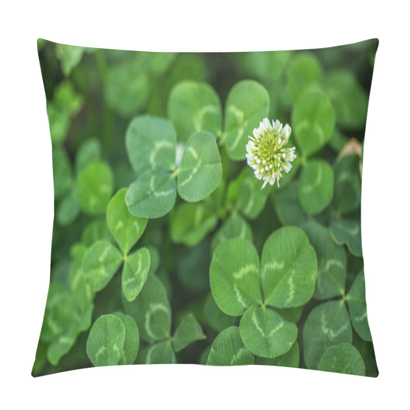 Personality  Three Leaves Clover With Clover Flowres Background. Macro. Close-up. Detail. Wallpaper. Pattern Pillow Covers