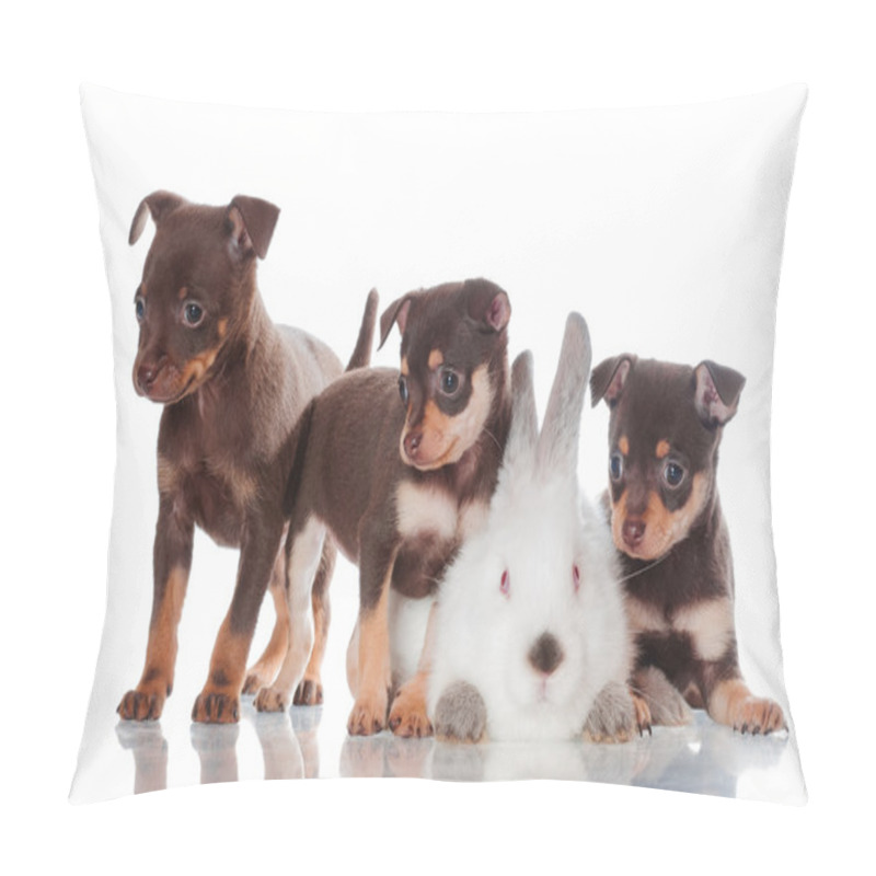 Personality  Adorable Russian Toy Terrier Puppies With A Rabbit Pillow Covers