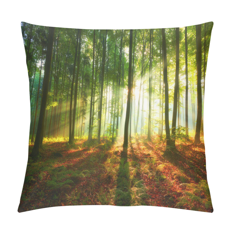 Personality  Beautiful Morning In The Forest Pillow Covers