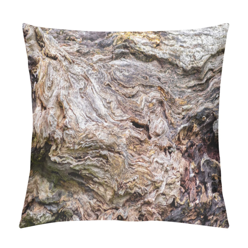 Personality  Textured Tree Bark, Wood Texture, Showcasing Intricate Natural Patterns, Swirls, And Earthy Tones Of Brown And Gray, Highlighting The Beauty Of Organic Details In Wood Surfaces, Horizontal Pillow Covers