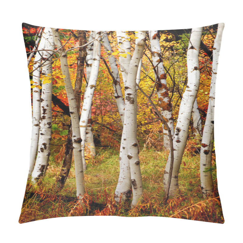 Personality  Fall Birch Trees Pillow Covers