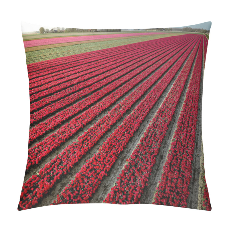 Personality  Drone Aerial View From Above Tulip Field, Noordoostpolder Netherlands, Bulb Region Holland In Full Bloom During Spring, Colorful Tulip Fields Pillow Covers