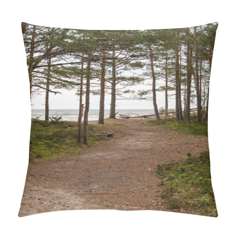 Personality  Venture Through The Forest's Embrace And Along This Dirt Path, Where The Symphony Of Trees Meets The Soothing Chorus Of The Sea. Pillow Covers