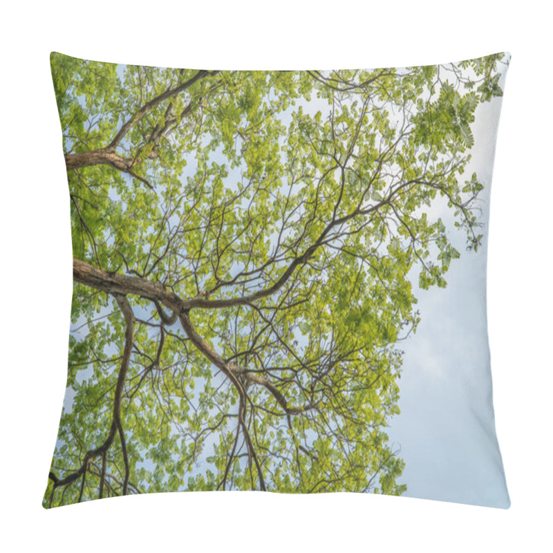 Personality  Under The Big Tree And With Branch Magnify Pillow Covers