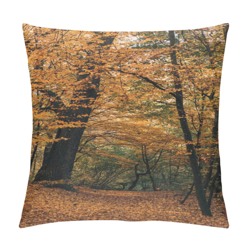 Personality  Autumn Forest With Yellow Leaves On Tree Twigs Pillow Covers