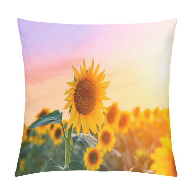 Personality  A Beautiful Sunflower Field Pillow Covers