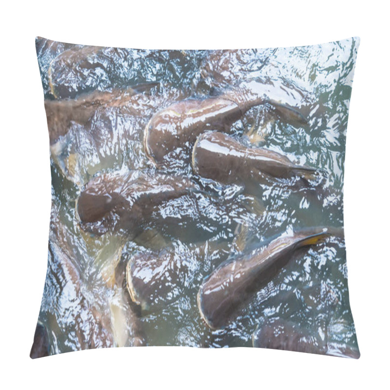 Personality  Striped Catfish Swimming In Unity, Creating Artistic Ripples On The Ponds Surface. Pillow Covers