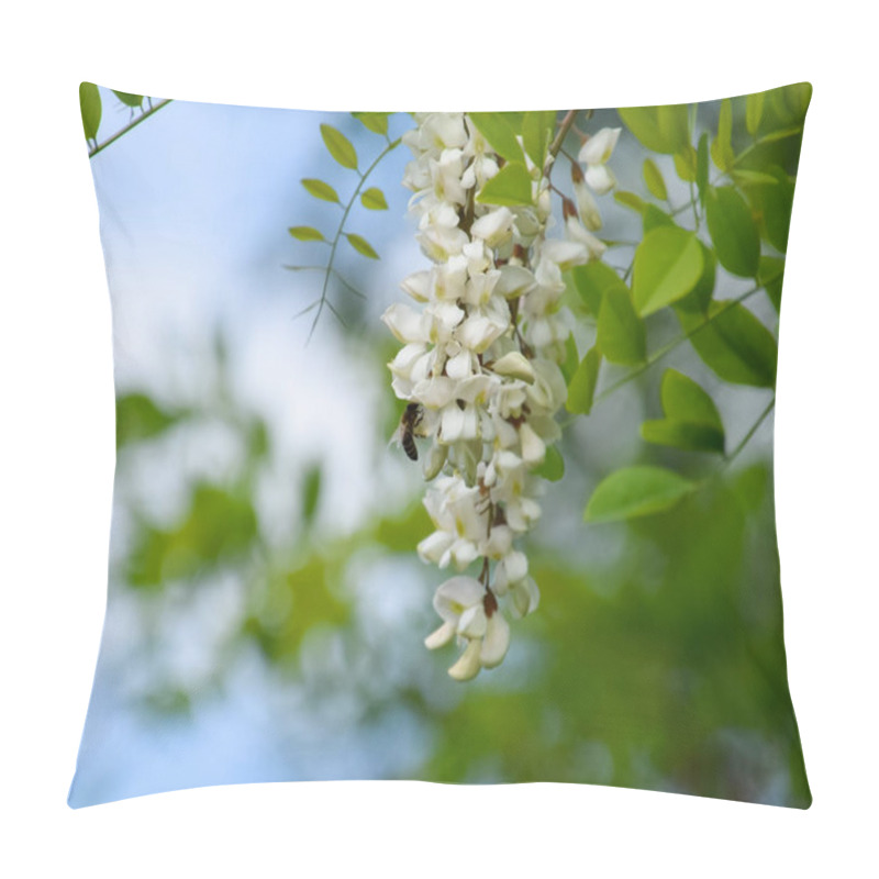 Personality  Flowering Acacia White Grapes Pillow Covers