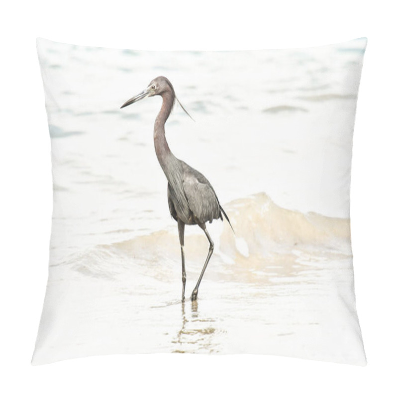 Personality  Great Blue Heron On Beach, Photo As A Background, Digital Image Pillow Covers