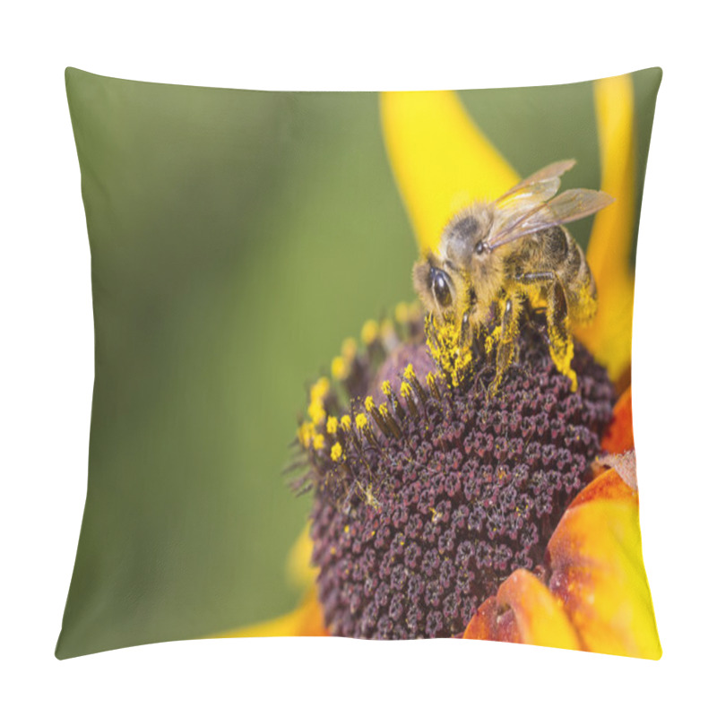 Personality  Close-up Photo Of A Western Honey Bee Gathering Nectar And Sprea Pillow Covers