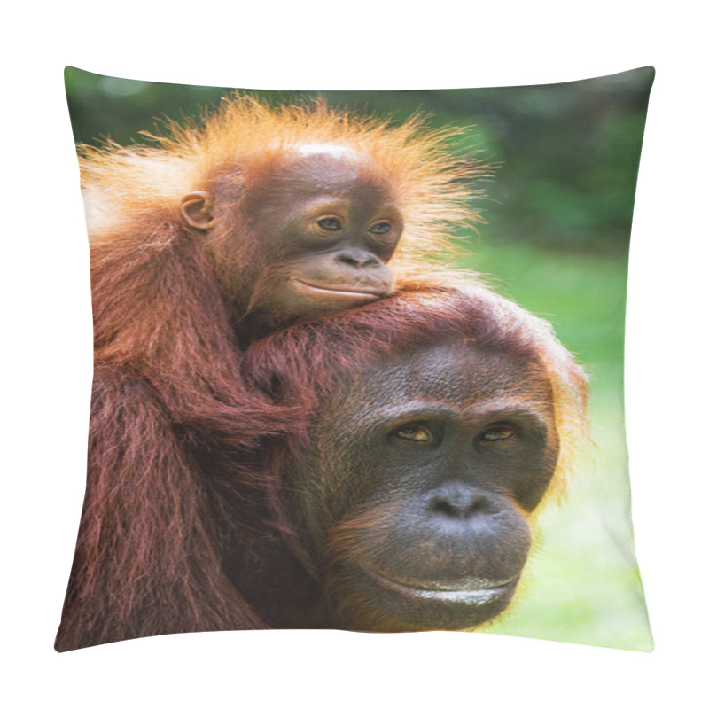 Personality  Two Orangutans  Indonesia. Pillow Covers