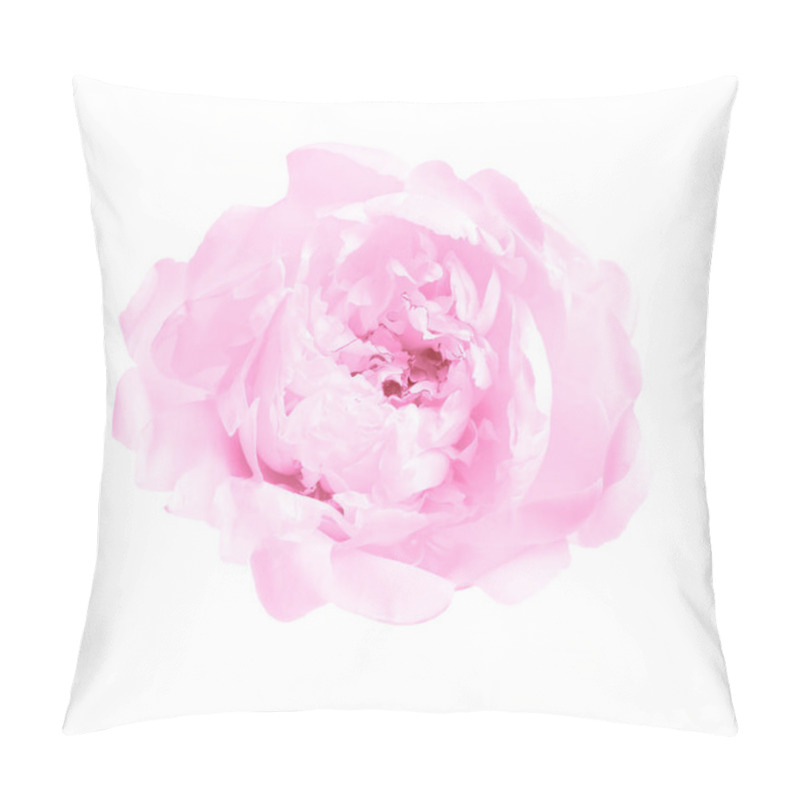 Personality  Beautiful Pink Peony Flower On White Background, Top View Pillow Covers