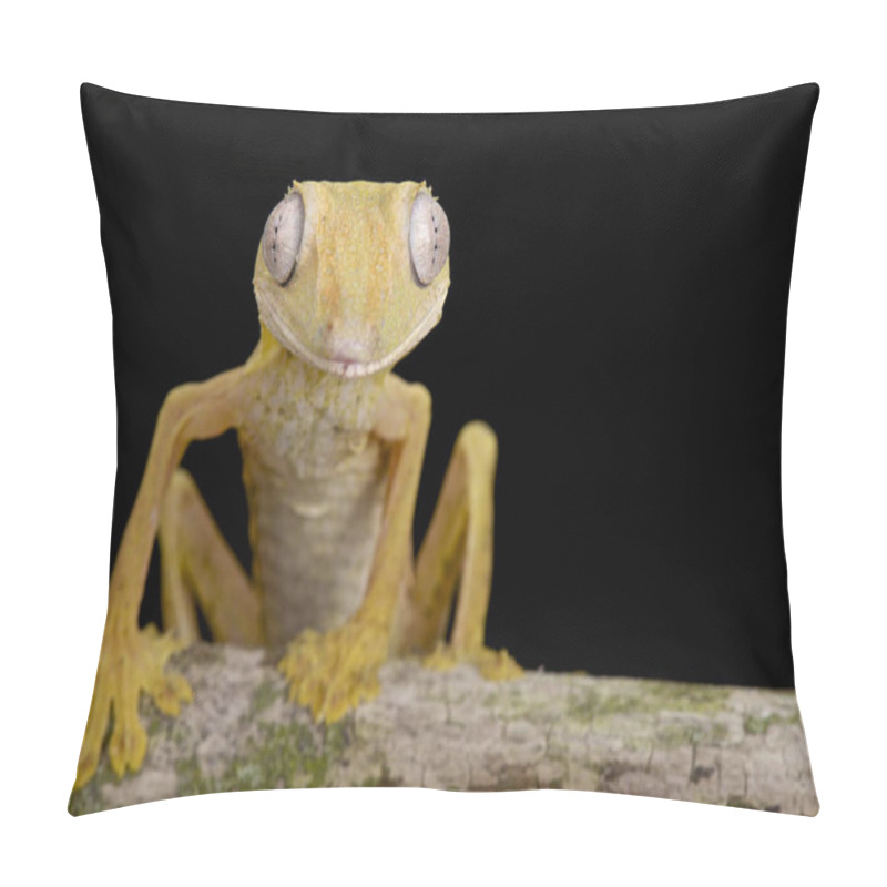 Personality  Lined Flat-tail Gecko (Uroplatus Lineatus) Pillow Covers