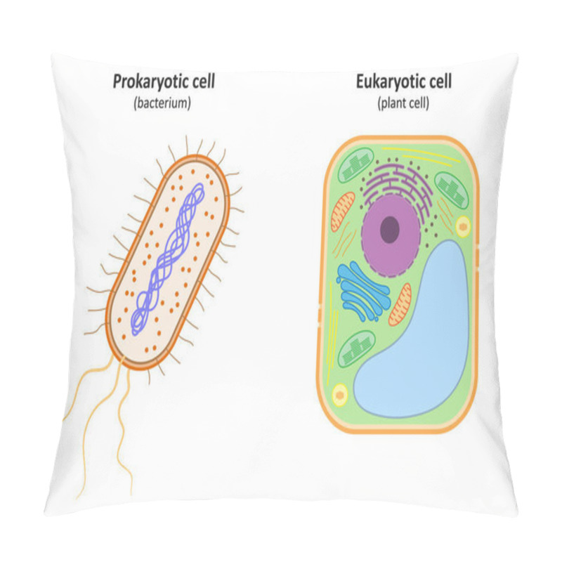 Personality  Prokaryotic Cell (bacterium) And Eukaryotic Cell (plant Cell). Pillow Covers