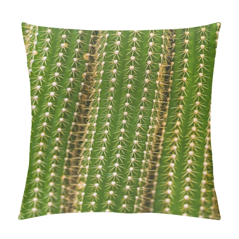 Personality  Cactus Macro Textures Ouch Pillow Covers