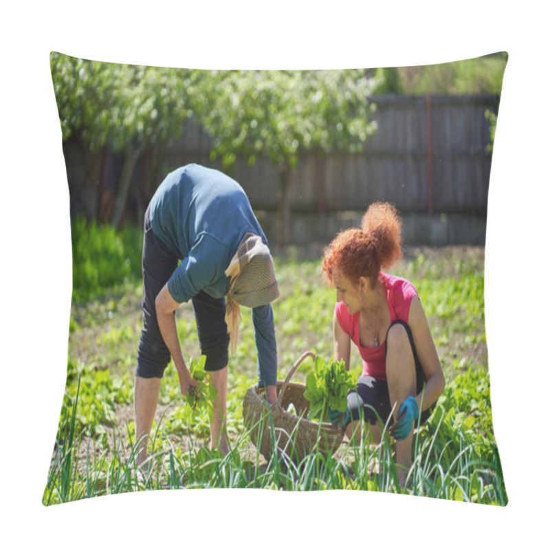 Personality  Woman And Her Elder Mother Harvesting Orache In The Garden Pillow Covers