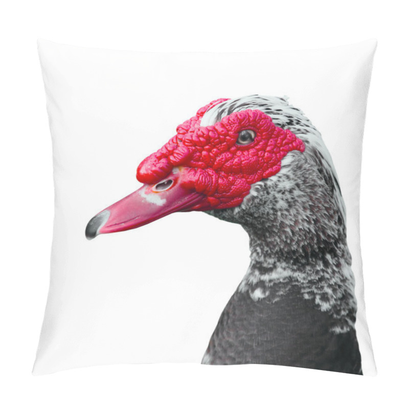 Personality  Muscovy Duck Pillow Covers