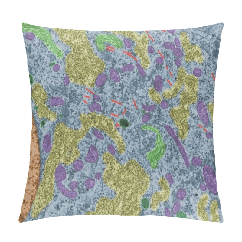 Personality  Neuron. Cell Organelles. False Colour TEM Pillow Covers