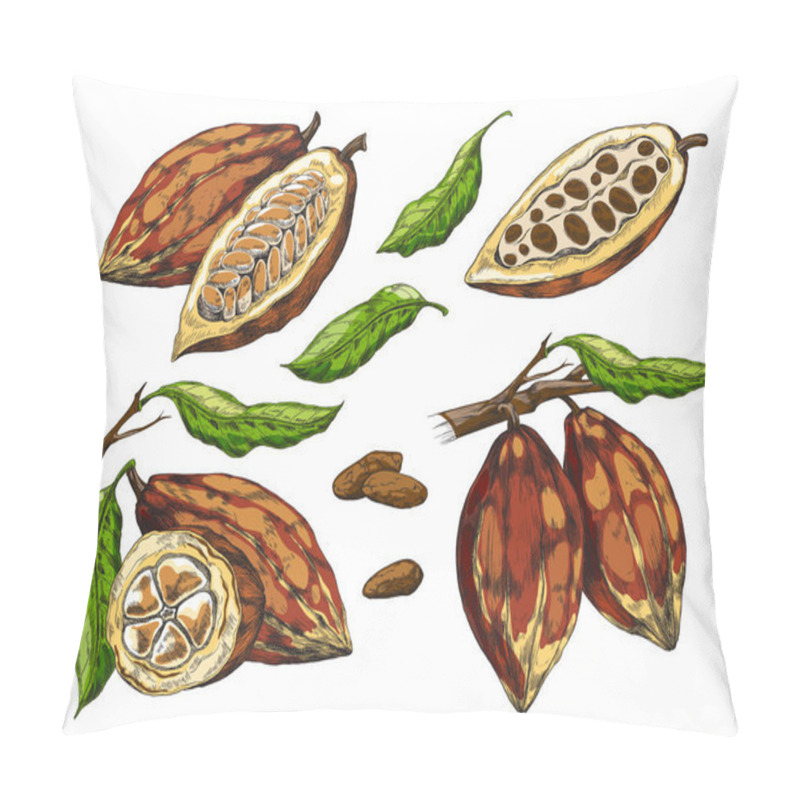 Personality  Realistic Set Of Cocoa With Unripe, Ripe Pods, Cut And Whole, Vector Illustration Pillow Covers