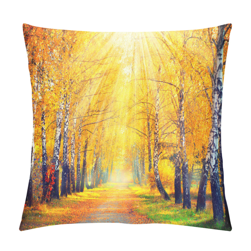 Personality  Autumn Trees  In Sun Rays Pillow Covers