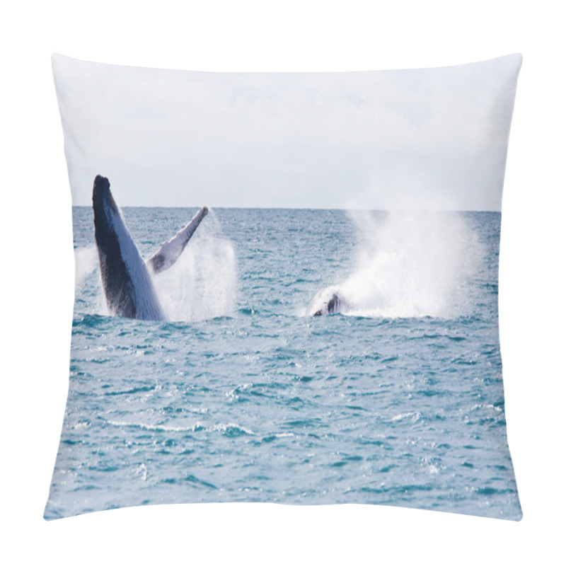 Personality  Humpback Whale Pillow Covers