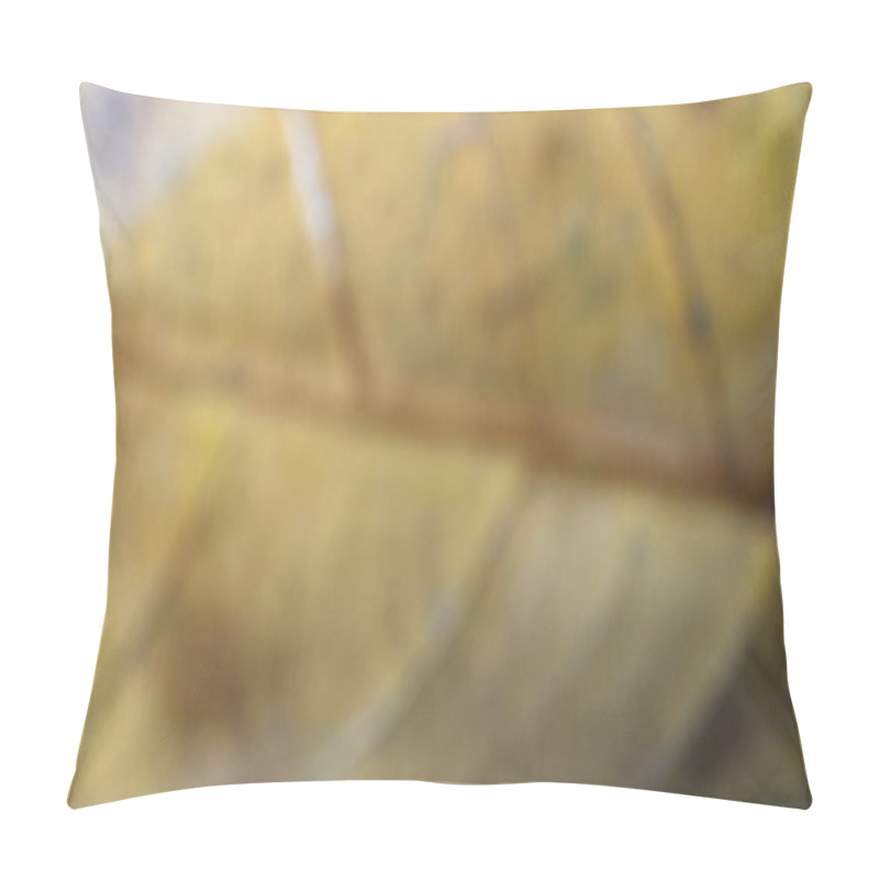 Personality  A Defocused View Of A Leaf, With Soft, Blurred Tones Of Yellow And Hints Of Brown. The Details Are Obscured, Creating An Abstract, Gentle Appearance With Subtle Hints Of The Leaf's Structure. Pillow Covers